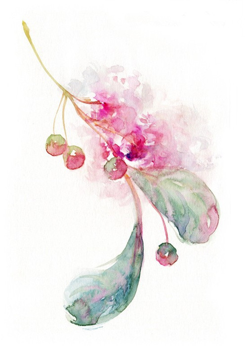 度薇年水彩手绘花环小清新插画图片图片
