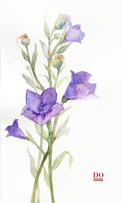度薇年水彩手绘花环小清新插画图片图片