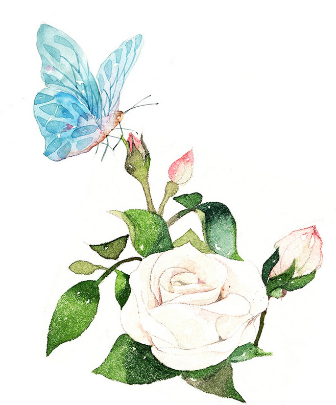 度薇年水彩手绘花环小清新插画图片图片