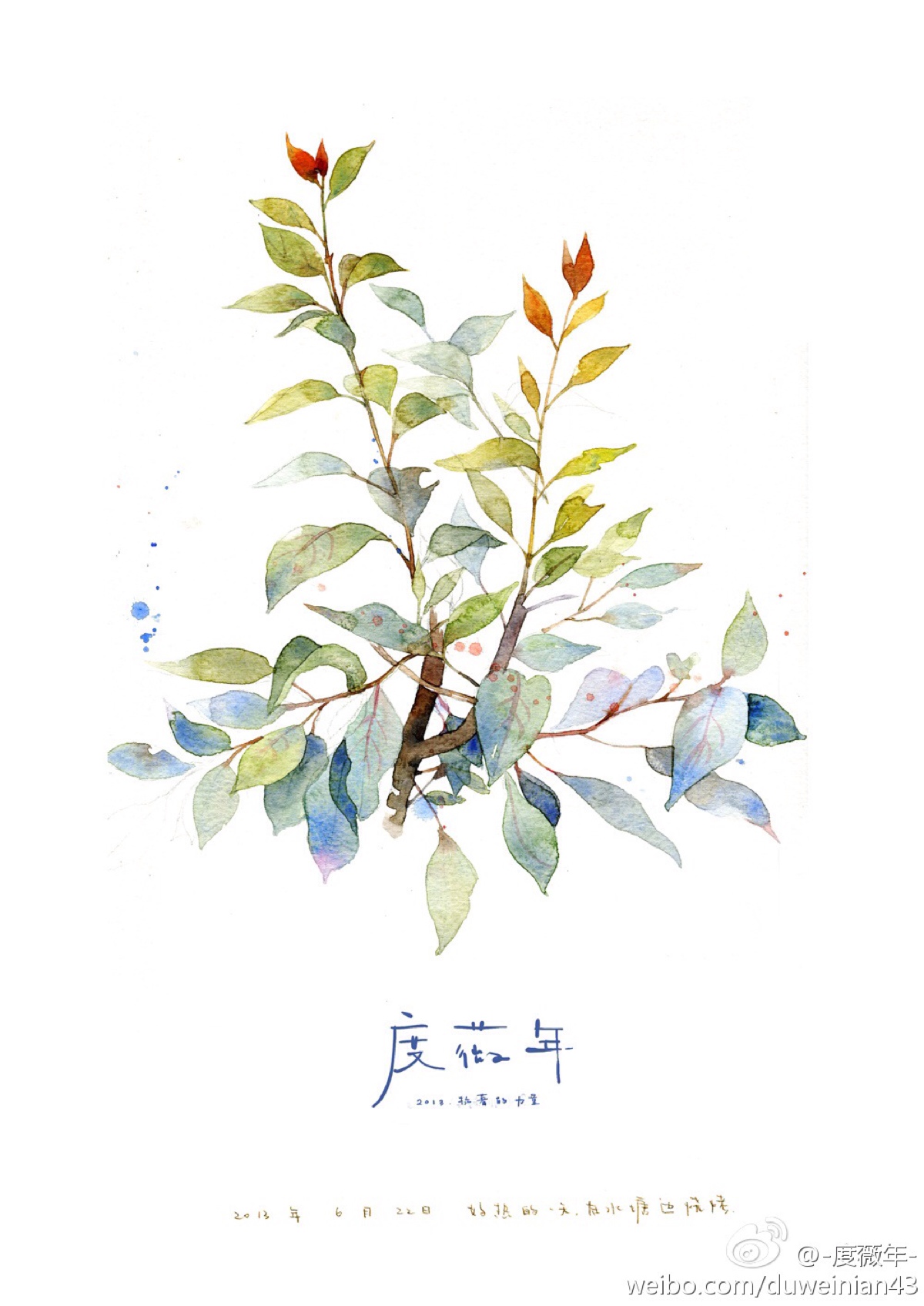 度薇年水彩手绘花环小清新插画图片图片