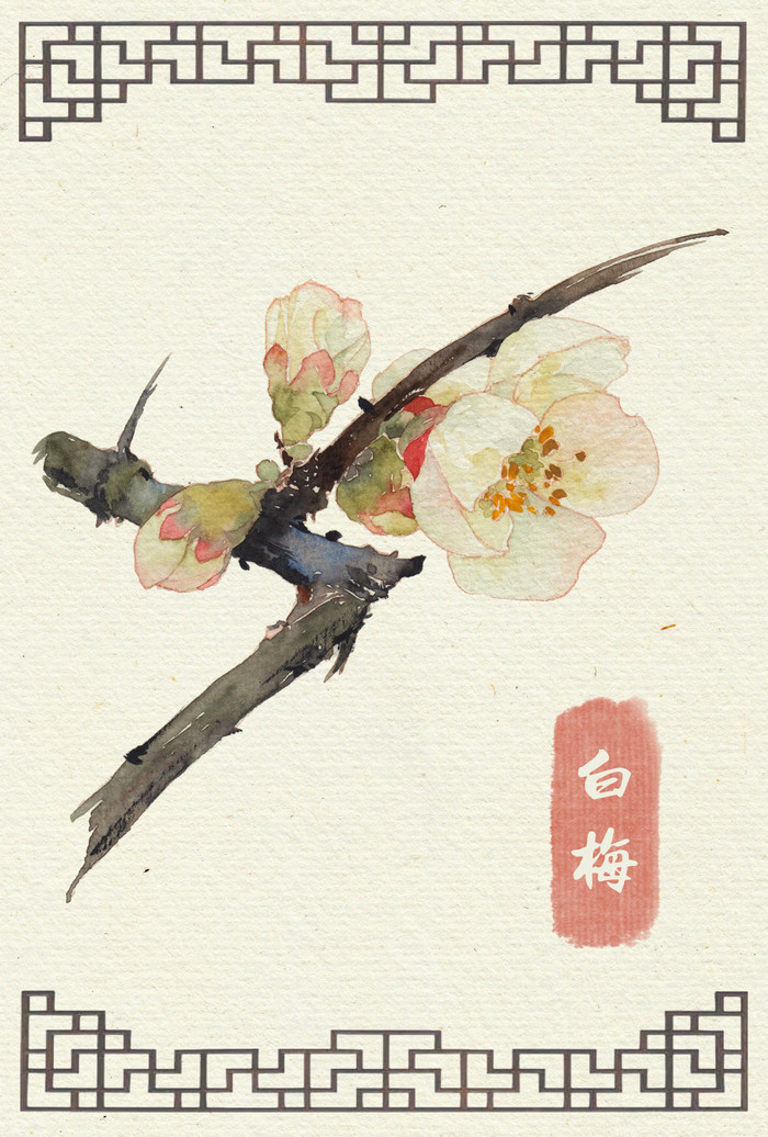 Karen Faulkner水彩一花一叶小清新手绘插画图片图片