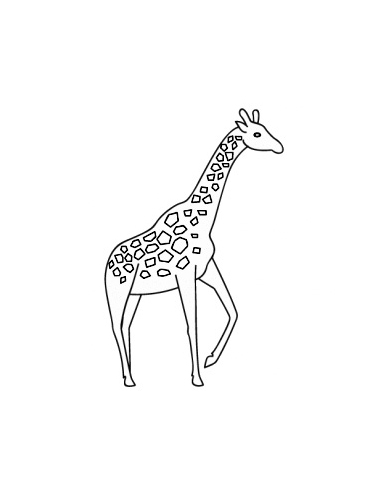 飞机直升飞机简笔画图片 交通工具简笔画图片图片