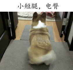 韩红图片 微博韩红最新动态图片图片