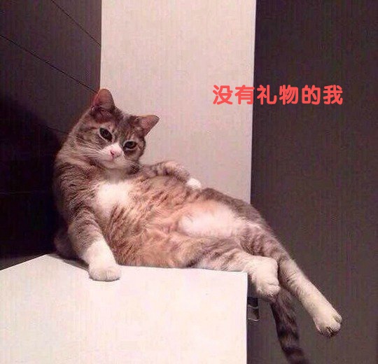 日本可爱萌宠柴犬hiyori阳光笑容图片图片