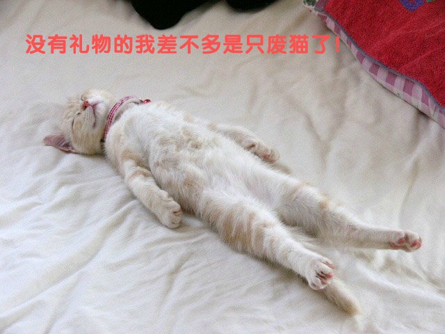 陈紫函家居写真 陈紫函怀抱萌宠爱心图片图片