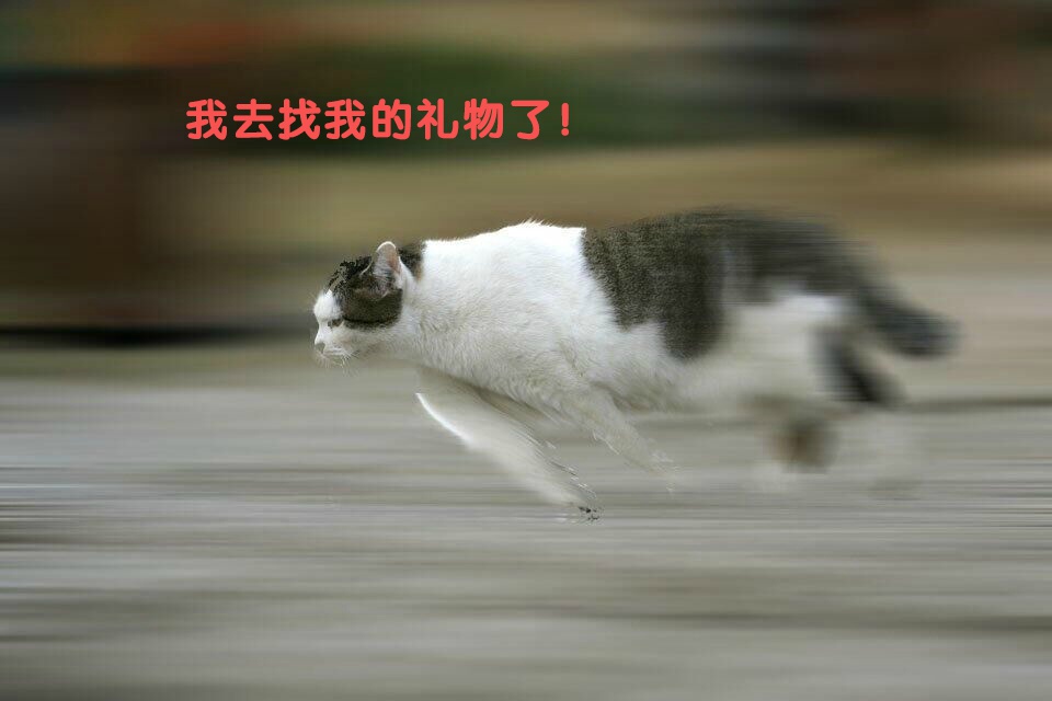 陈紫函家居写真 陈紫函怀抱萌宠爱心图片图片