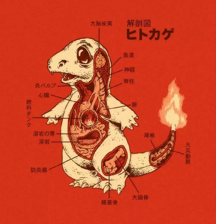 幼儿教育图片