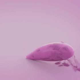 重口味图片