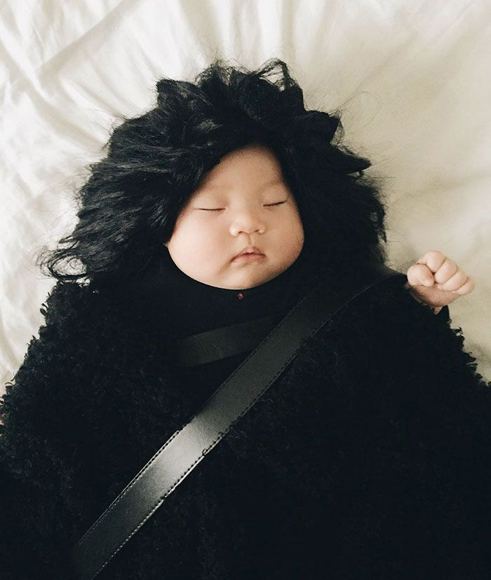 婴儿BABY创意写真图片：4个月宝宝睡着成网红趣图图片