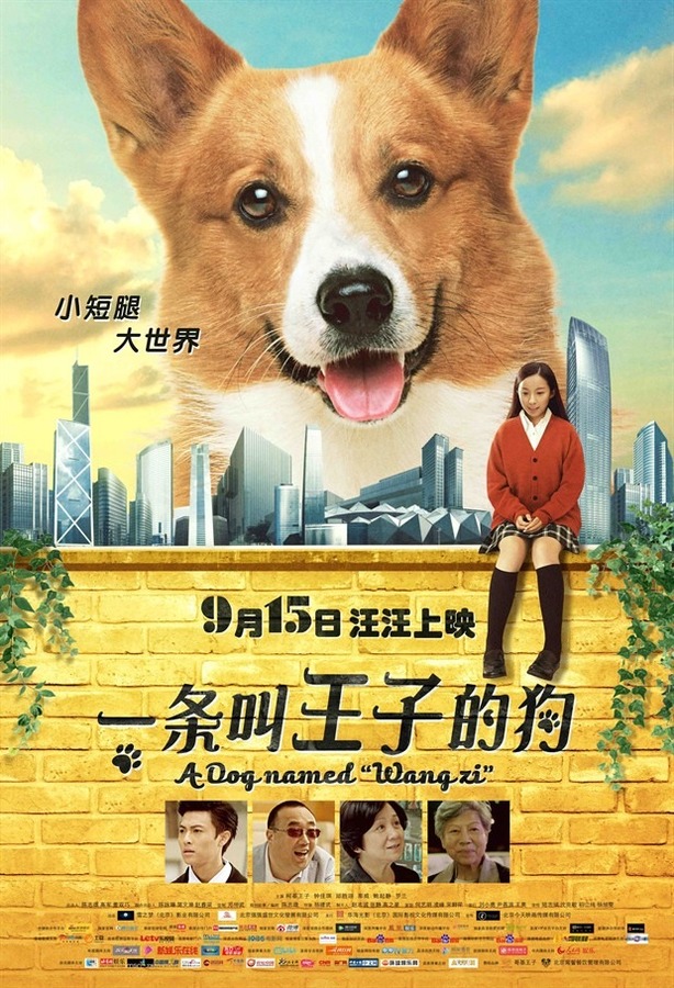 陈紫函家居写真 陈紫函怀抱萌宠爱心图片图片