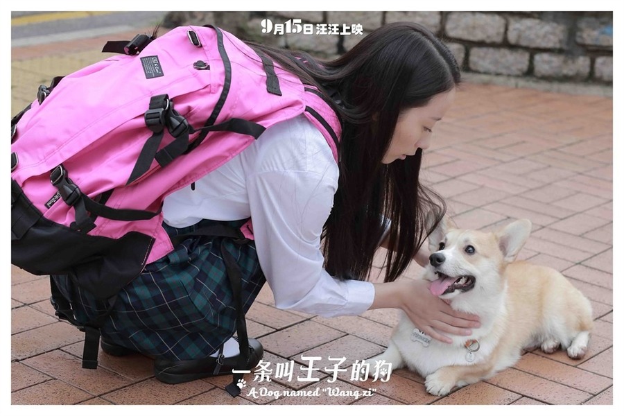 陈紫函家居写真 陈紫函怀抱萌宠爱心图片图片