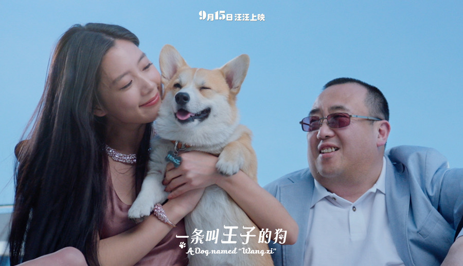 陈紫函家居写真 陈紫函怀抱萌宠爱心图片图片
