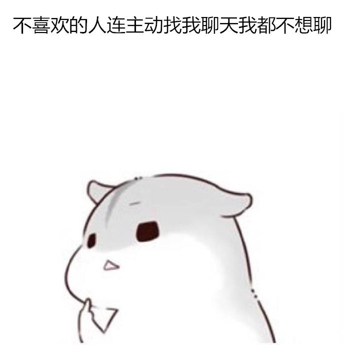可爱汪星人萌萌哒高清动物壁纸图片下载图片