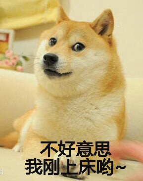 2008欧洲野生动物摄影大赛图片