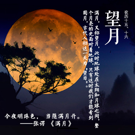 诸葛亮图片  郑少秋版诸葛亮图片图片