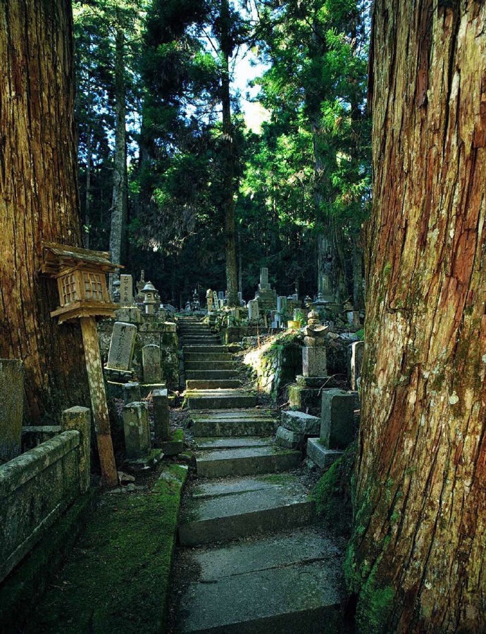 清新护眼自然风光图片图片