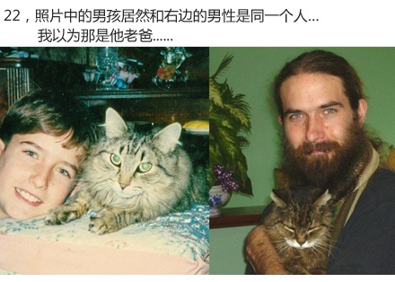 微博漫画家郭斯特的猫可爱动物写真图片图片