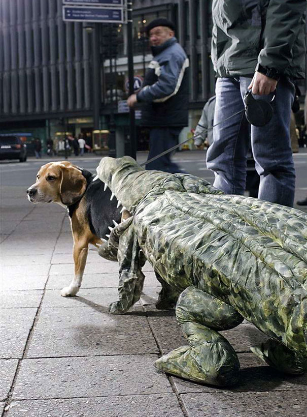 恶搞图片