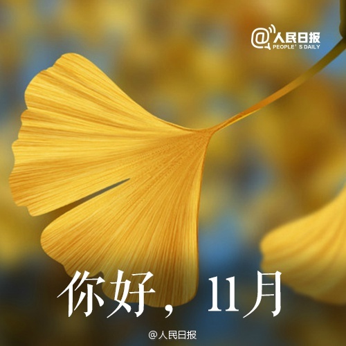 欧洲传统节日感恩节高清图片合集宽屏电脑桌面壁纸下载第二辑图片