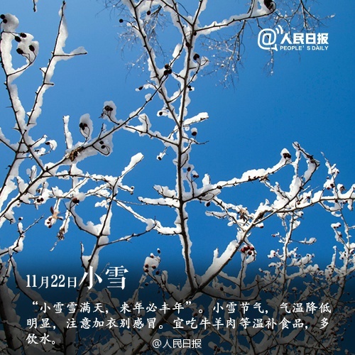 端午父亲节节日快乐桌面壁纸之卡通兔小贝图片