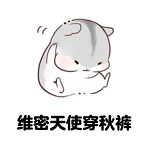 卡通动漫搞笑表情包 维密秀减肥系列表情包图片