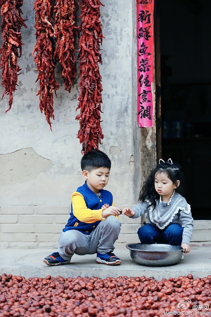 阿拉蕾图片