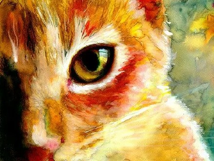 现代生活对猫产生的变化图片