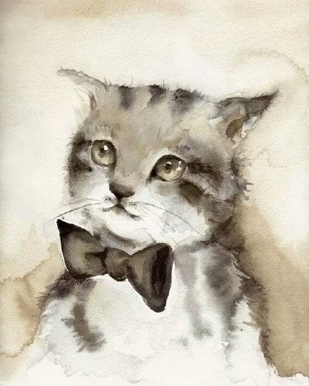 现代生活对猫产生的变化图片