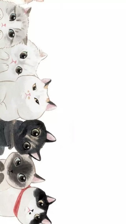现代生活对猫产生的变化图片