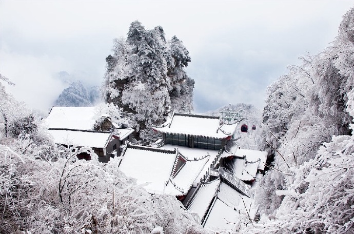 冬天雪景唯美手机壁纸图片图片
