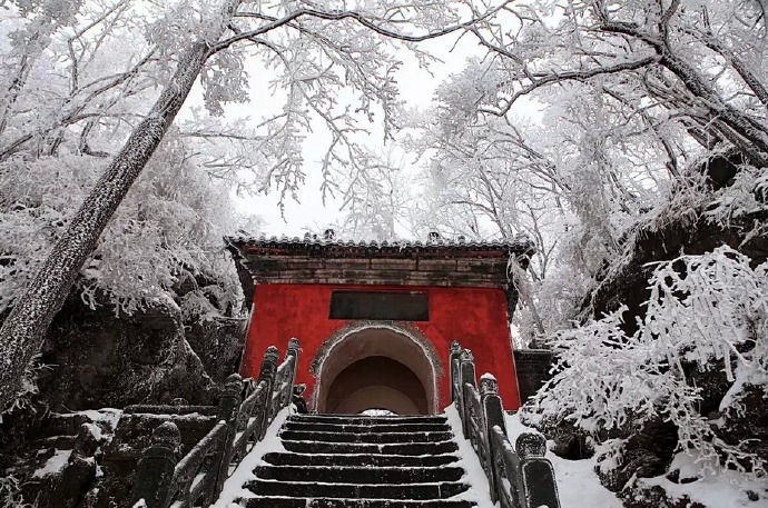 冬天雪景唯美手机壁纸图片图片