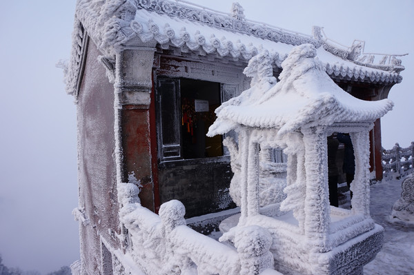 冬天雪景唯美手机壁纸图片图片