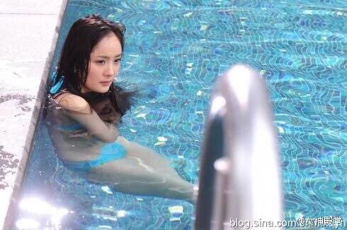美女明星杨幂时尚写真图片 第三辑图片