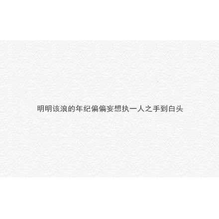 唯美暖心的文字语录图片图片