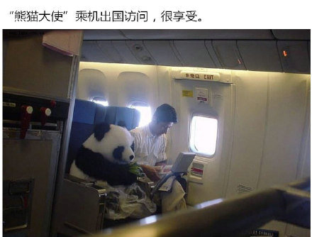 幽默搞笑图片