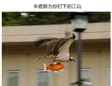 蓝瘦香菇幽默搞笑表情包图片图片