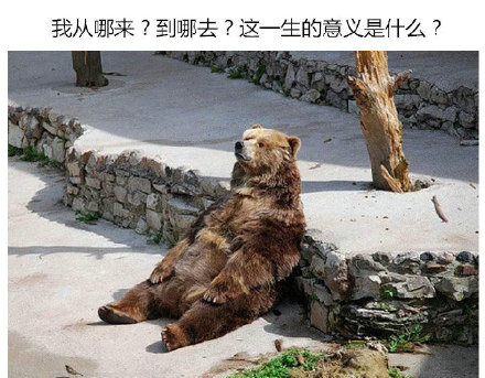 蓝瘦香菇幽默搞笑表情包图片图片