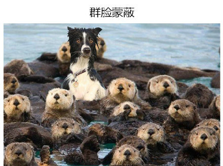 卡通系列幽默搞笑表情包图片  这个月我想买件长袖图片