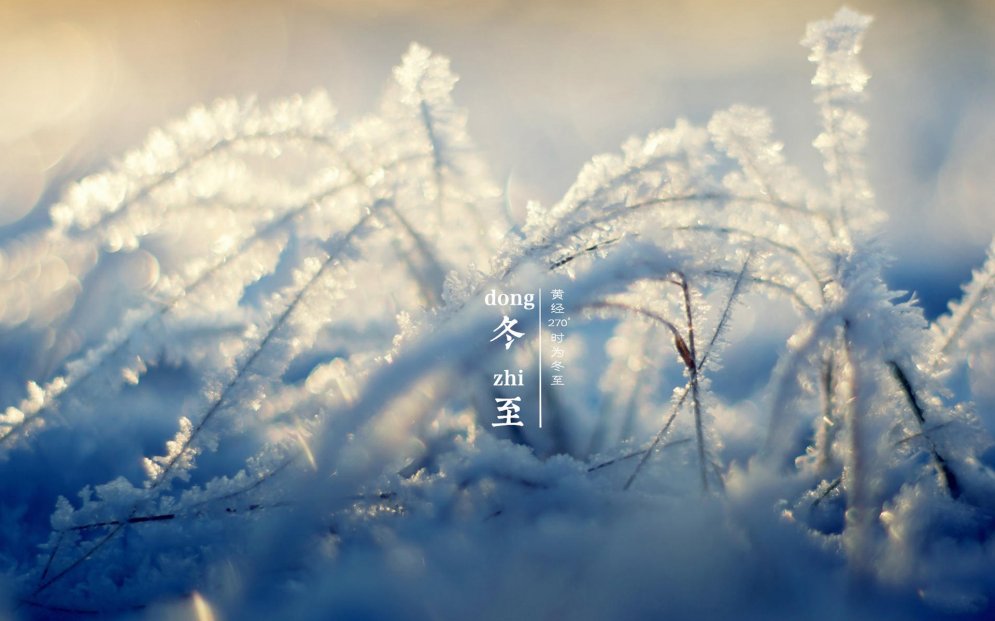 王丽坤清纯靓丽雪景写真图片图片