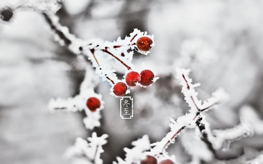 冯若绮清新雪景写真图片图片