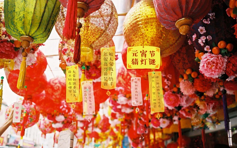 国际劳动妇女节节日素材图片  第五辑图片