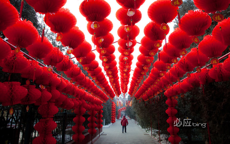 万圣节惊悚背景图片第二辑图片