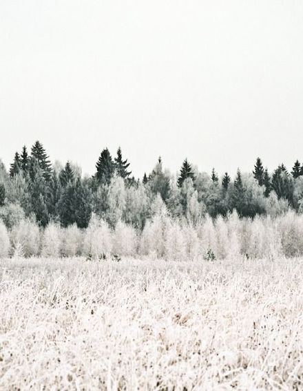 唯美诗意冬季雪景图片图片