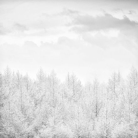 陈妍希晒新神雕侠侣片场照 雪景显唯美图片