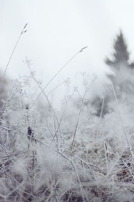 陈妍希晒新神雕侠侣片场照 雪景显唯美图片