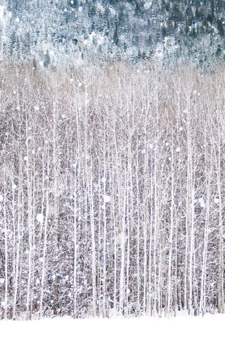 唯美欧洲冬天城市景雪景图片图片