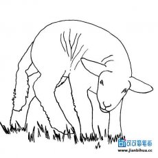 古巨基跨界执导儿童剧 被誉男版爱丽丝图片