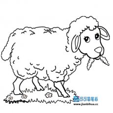 儿童图片