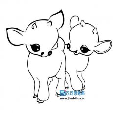 儿童图片