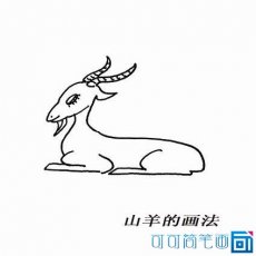 山羊图片